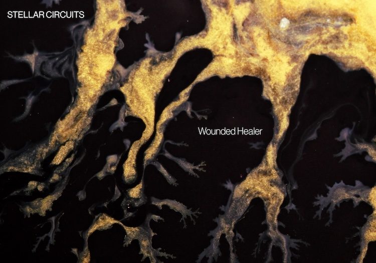 STELLAR CIRCUITS drop crushing new single 'Wounded Healer'